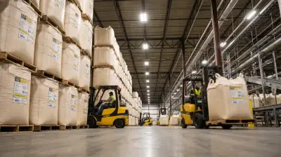 Cassava chip, cassava pellets, shipping china thailand